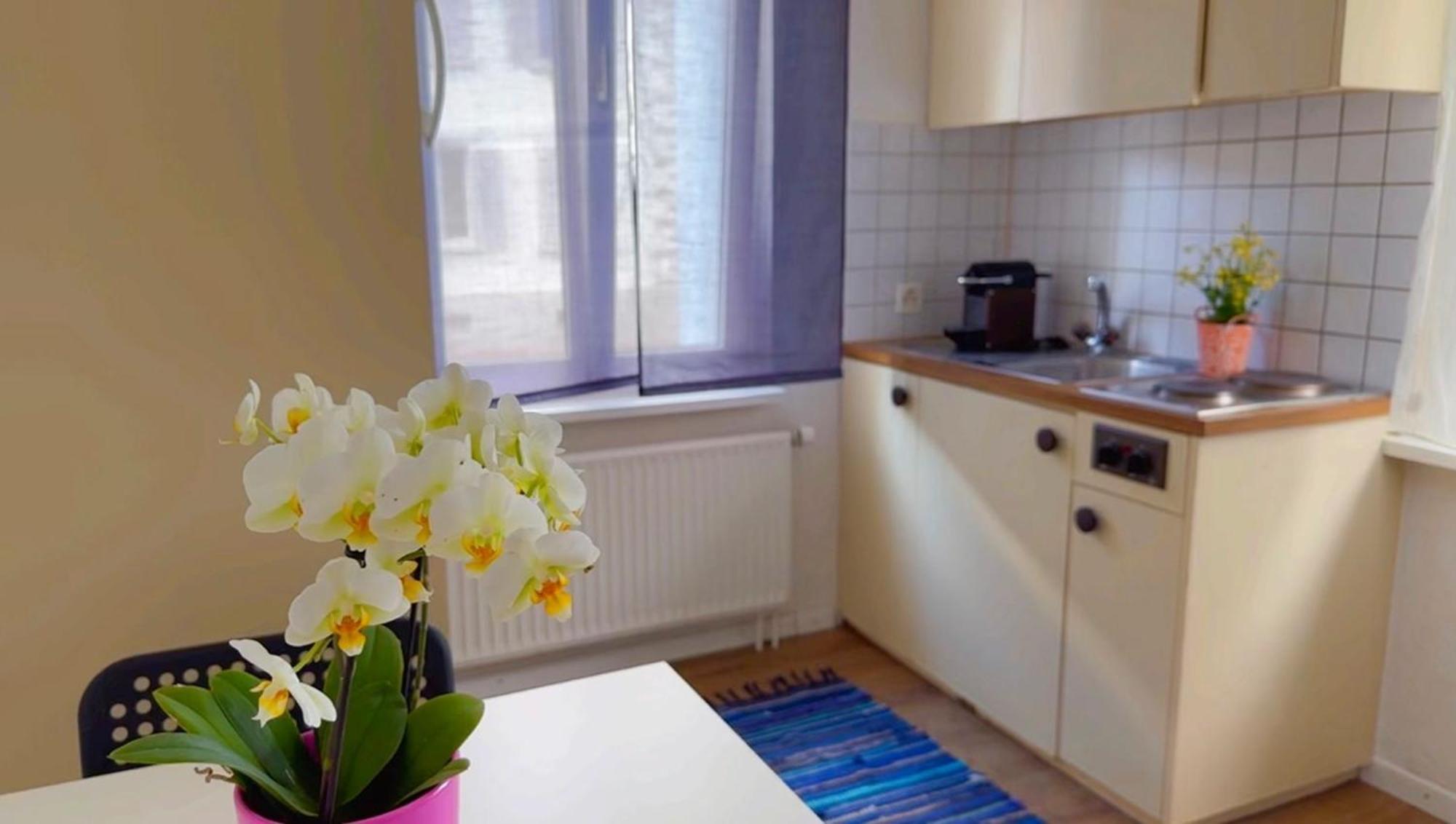 شقة Grandhouse Center Of Switzerland أولتن المظهر الخارجي الصورة